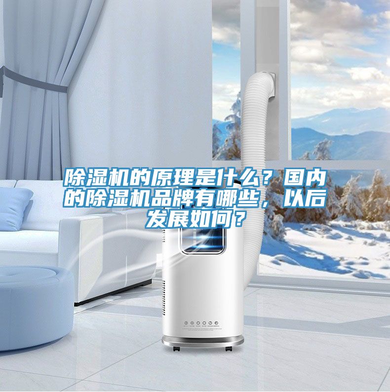 除濕機(jī)的原理是什么？國內(nèi)的除濕機(jī)品牌有哪些，以后發(fā)展如何？