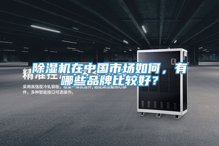 除濕機(jī)在中國(guó)市場(chǎng)如何，有哪些品牌比較好？