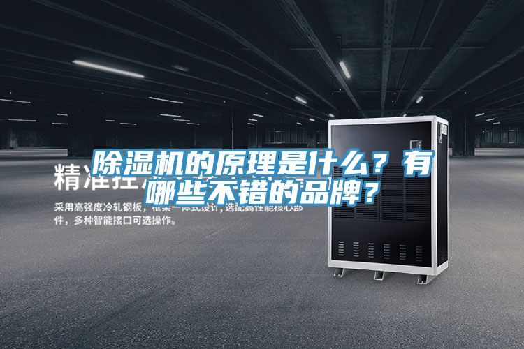 除濕機的原理是什么？有哪些不錯的品牌？