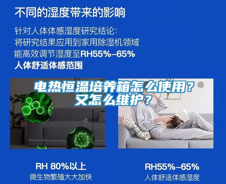 電熱恒溫培養(yǎng)箱怎么使用？又怎么維護(hù)？