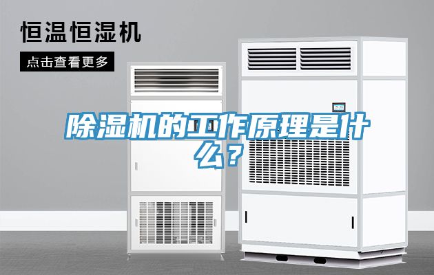 除濕機的工作原理是什么？