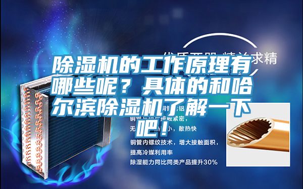 除濕機(jī)的工作原理有哪些呢？具體的和哈爾濱除濕機(jī)了解一下吧！