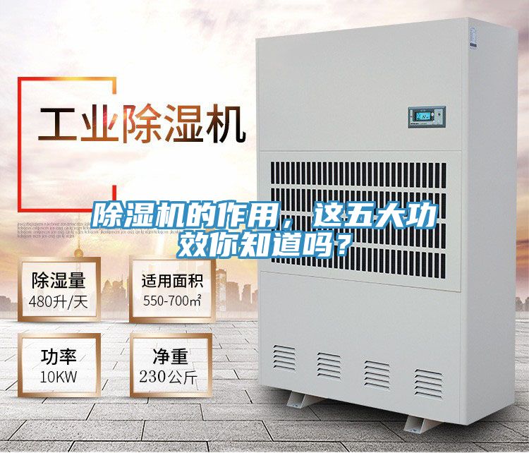 除濕機(jī)的作用，這五大功效你知道嗎？