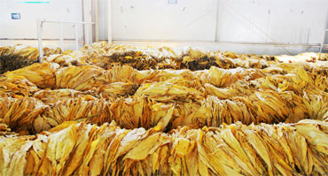 煙草行業(yè)環(huán)境加濕濕度控制解決方案1